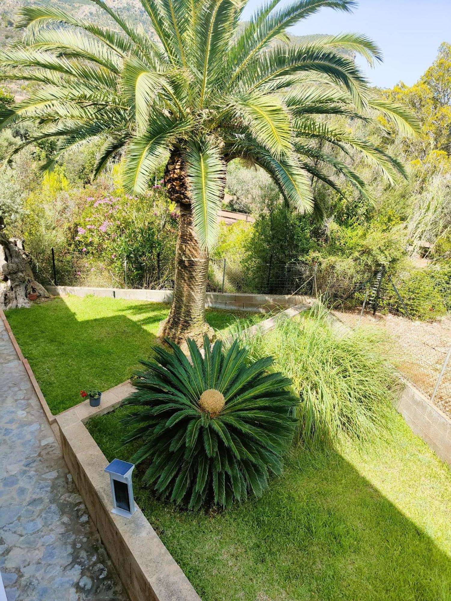 Villa Capllonch Banyalbufar Εξωτερικό φωτογραφία